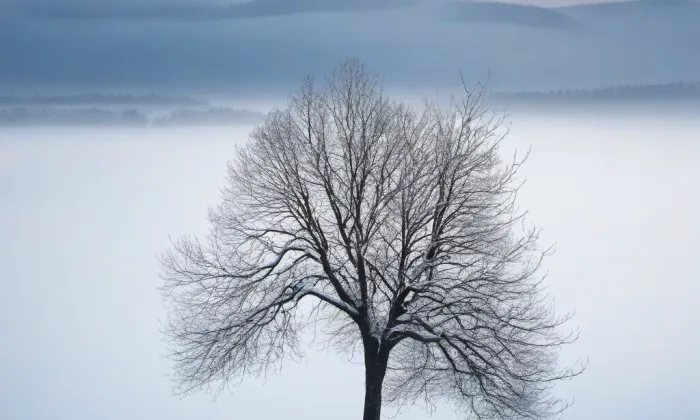 Bradáč – winter