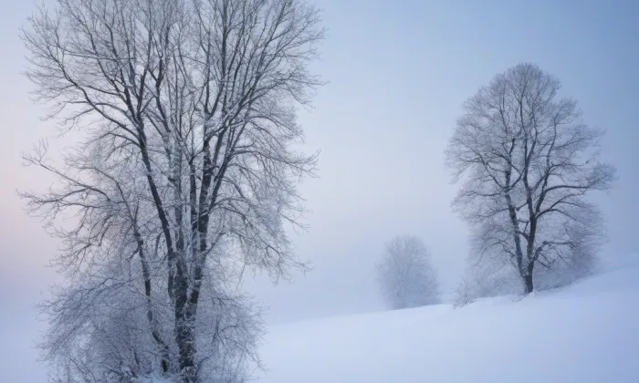 Britská čtvrť – winter
