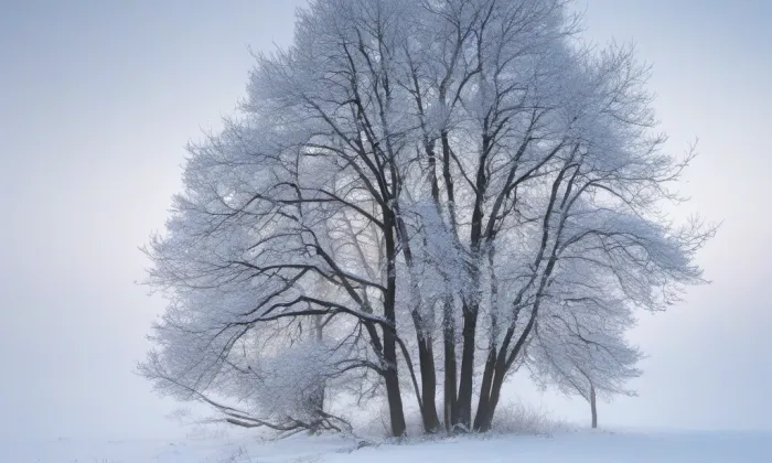 Budova Právnické fakulty Univerzity Karlovy v Praze – winter