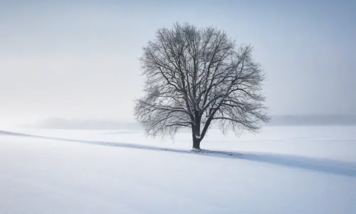 Buquoyská hrobka – winter