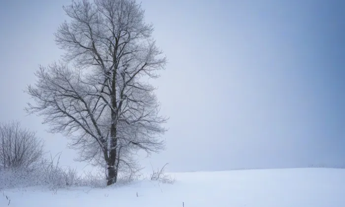 Císařské lázně – winter