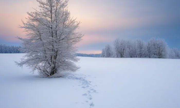 Císařský mlýn – winter