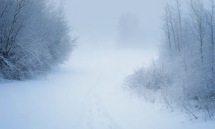 Cejl – winter