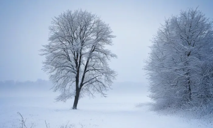 Centrální hřbitov v Českém Těšíně – winter