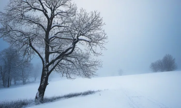 Centrum architektury a městského plánování – winter