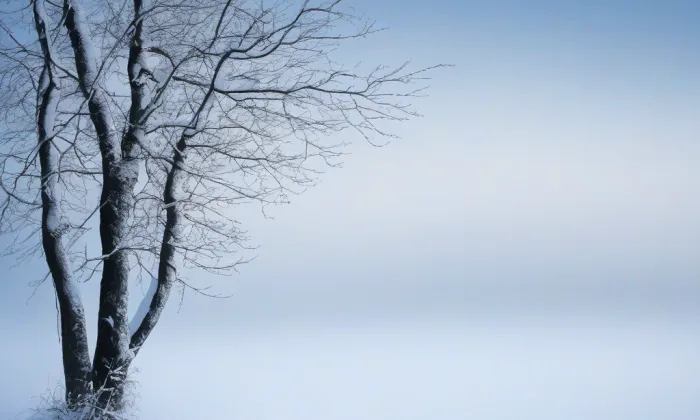 Chlum-Kozlov – winter