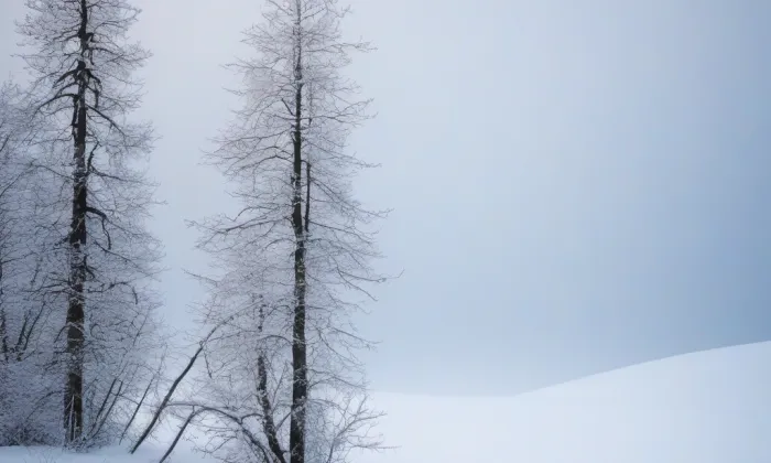 Choceň – winter