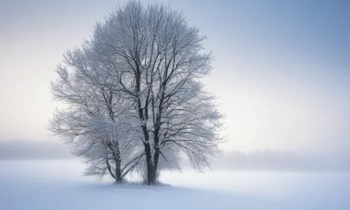 chrám svaté Barbory (Dolní Kounice) – winter