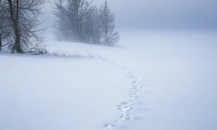 Chrám svatého Václava v Litoměřicích – winter
