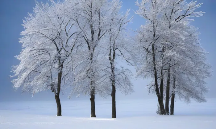Cibulka – winter