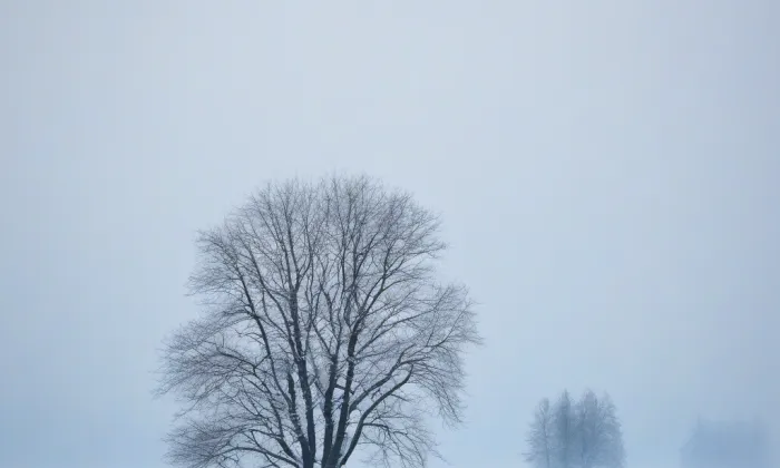 Dřevěná zvonice u kostela Stětí sv. Jana v Hostivaři – winter