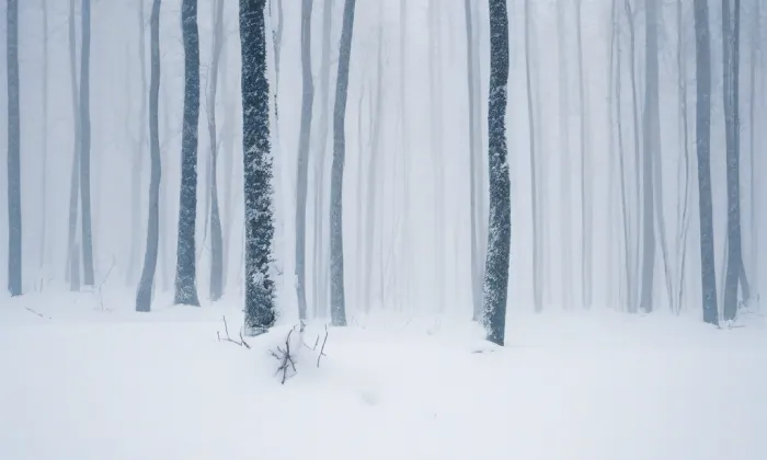 Důl Jeroným – winter