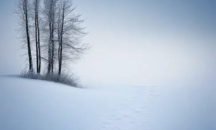 Důl Koh-i-noor II – winter