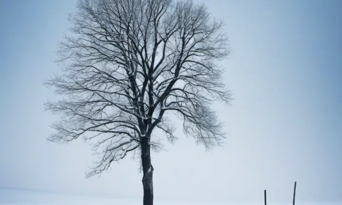 Důl svaté Trojice – winter