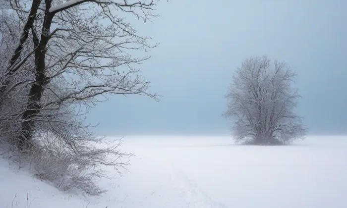 Dům – winter