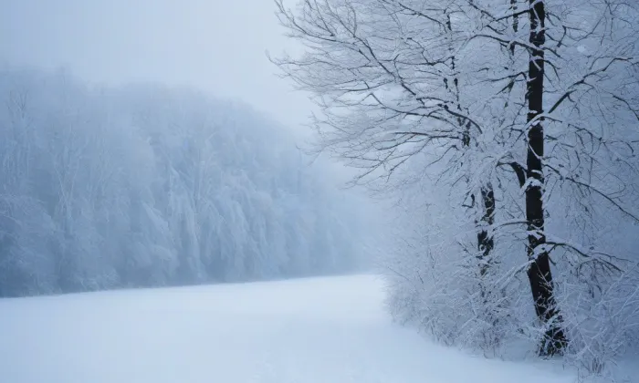 Dům Diamant – winter