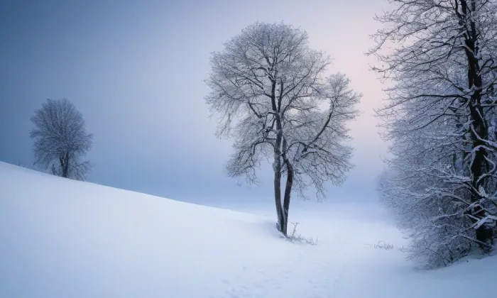 Dům umění města Brna – winter