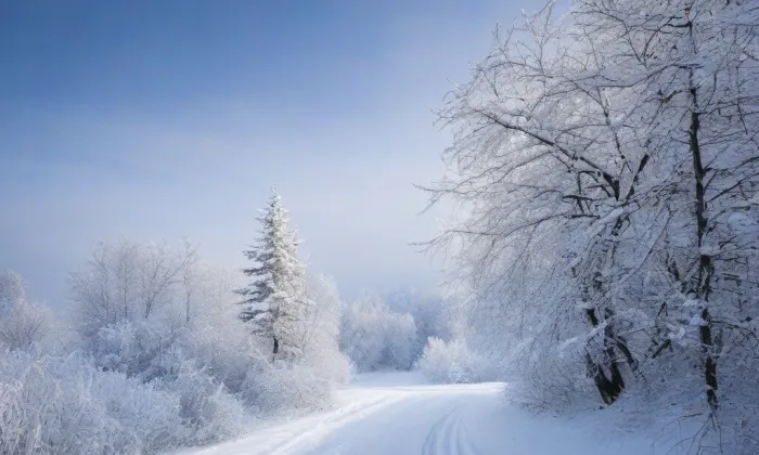 Divišova 1 – winter