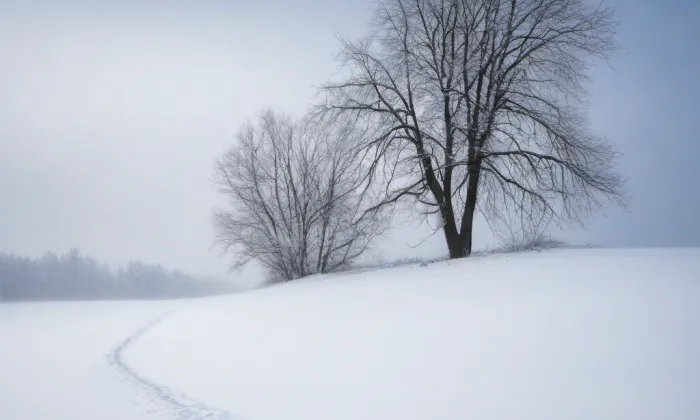 Dlouhý most – winter