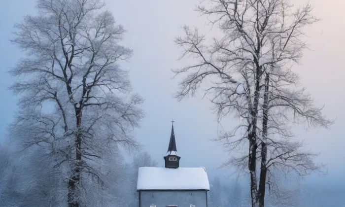 Dolany – winter