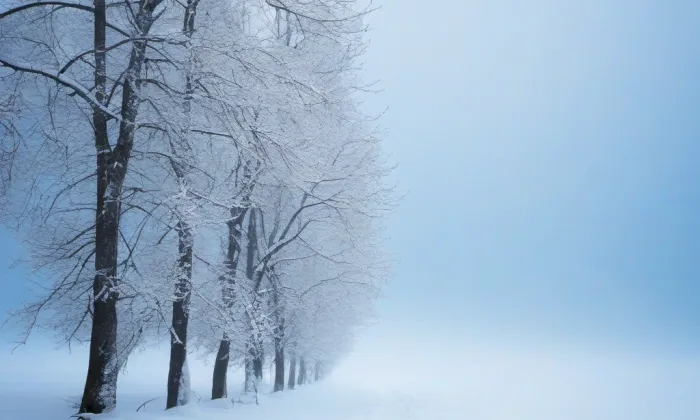 Dolní hřbitov – winter