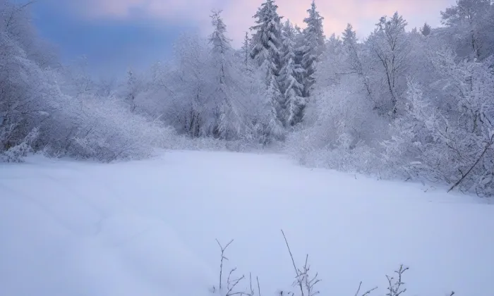 Dolní Hořice – winter