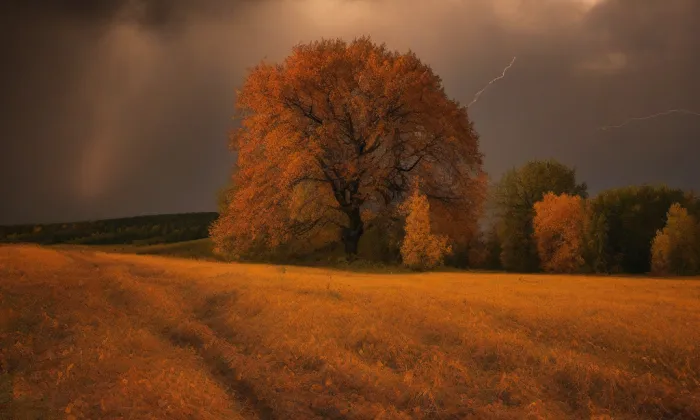 Dolní hrádek – autumn