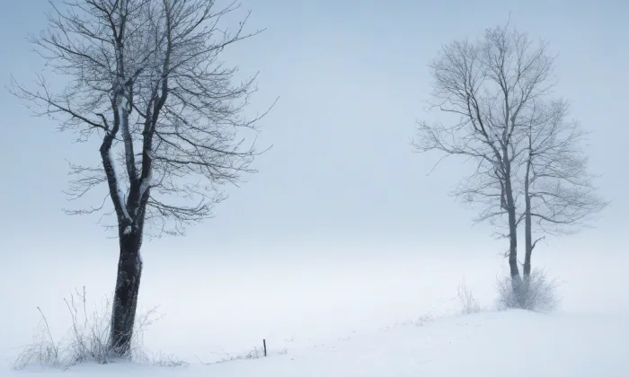 Dolní oblast Vítkovice – winter