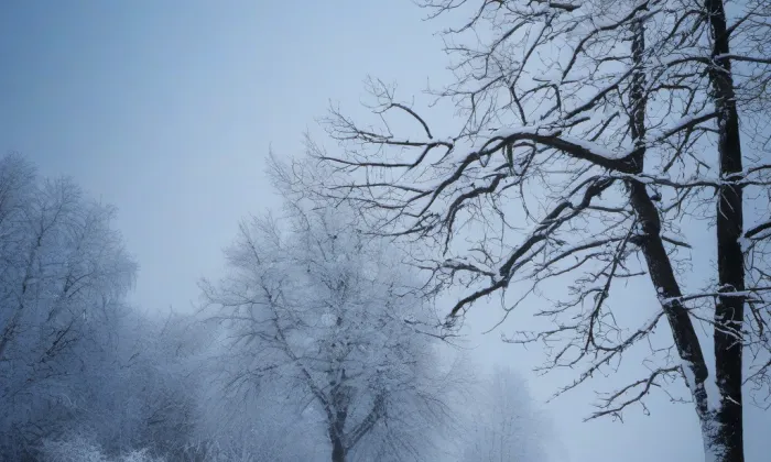 Dominikánský klášter – bývalý františkánský – winter