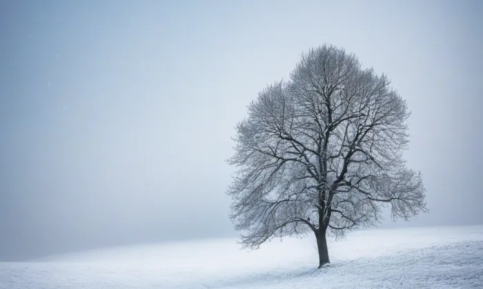 Drahlín – winter