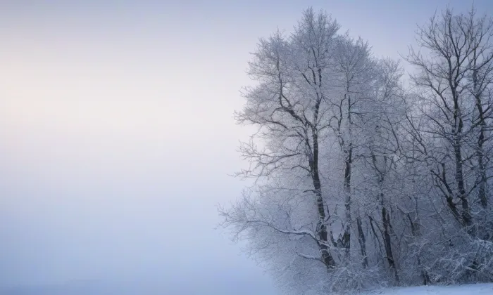 Drhovle – winter