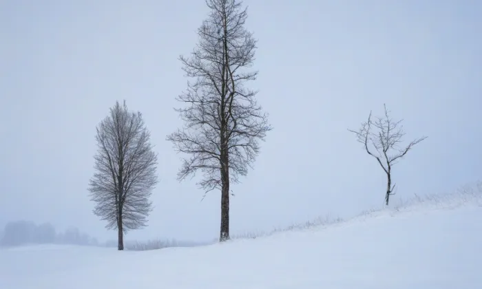 Drslavice – winter