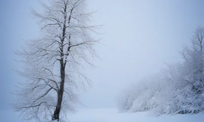 Dva Herkulové – winter