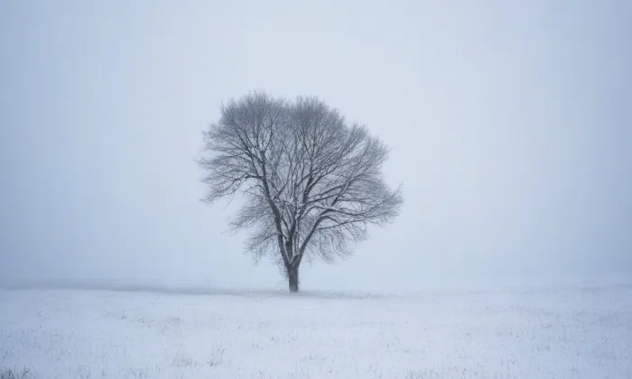 evangelický kostel (Hranice) – winter