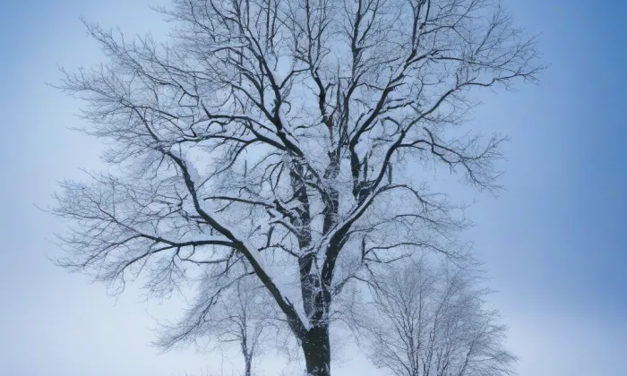 evangelický kostel v Huslenkách – winter