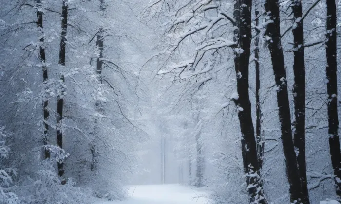 evangelický kostel v Jirkově – winter