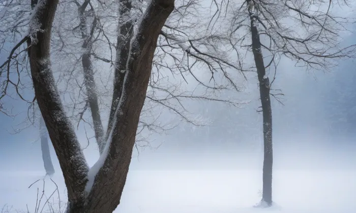 evangelický kostel v Kovanci – winter