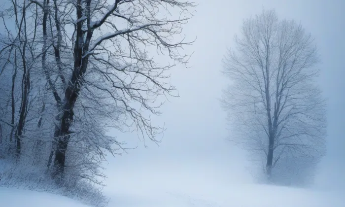 evangelický kostel v Rožnově pod Radhoštěm – winter