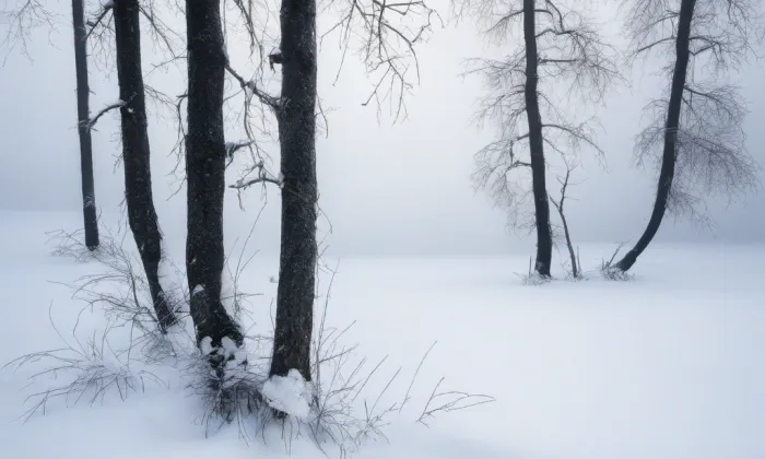 evangelický kostel v Rovečném – winter