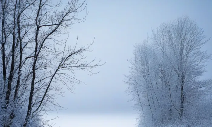 evangelický kostel v Sokolově – winter