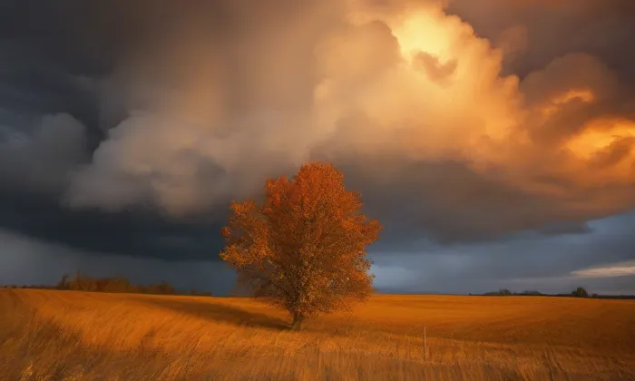 evangelický kostel ve Džbánově – autumn