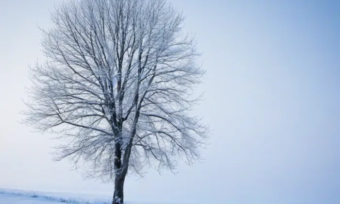 evangelický kostel ve Džbánově – winter
