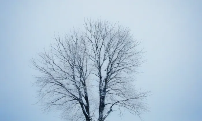 Fíkovna (Lysice) – winter