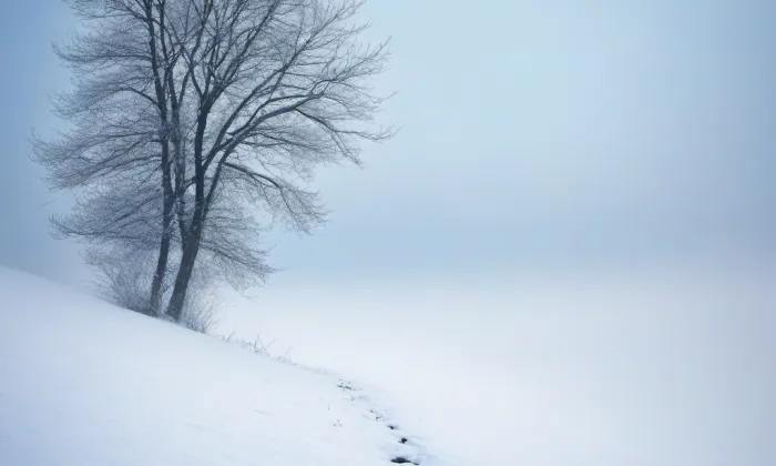 Ferdinandsko – winter