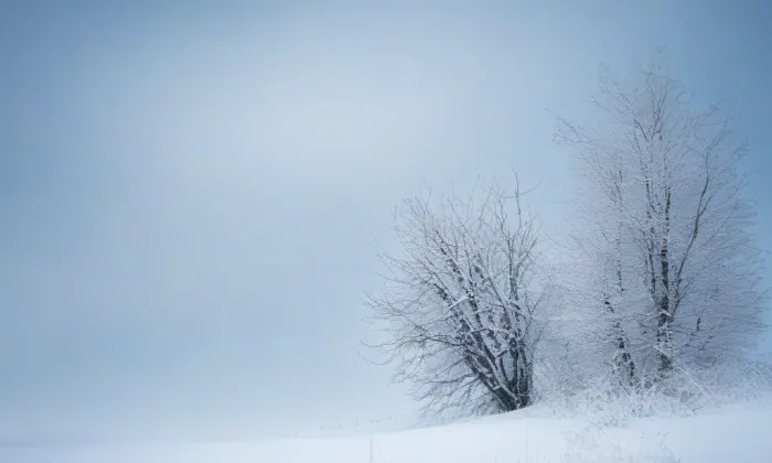 Folimanka – winter
