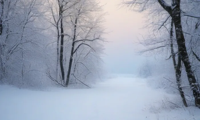 Františkánský klášter v Jindřichově Hradci – winter