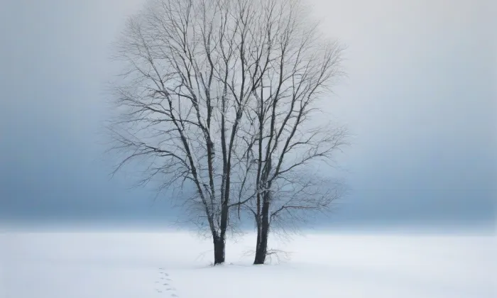 Františkánský klášter ve Slaném – winter