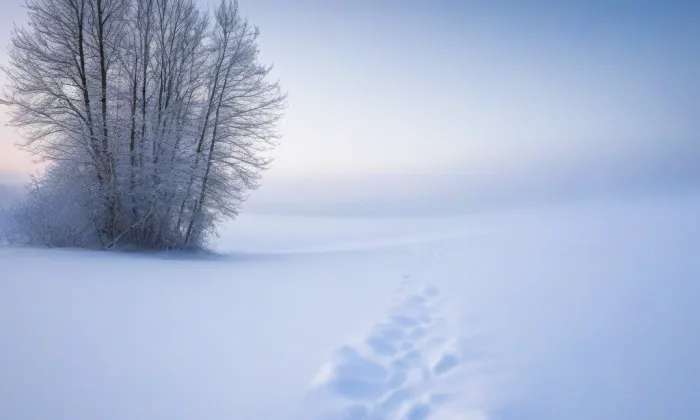 Frymburk (Frymburk) – winter