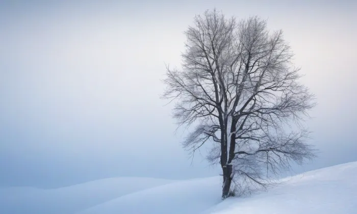 Gorazdova – winter