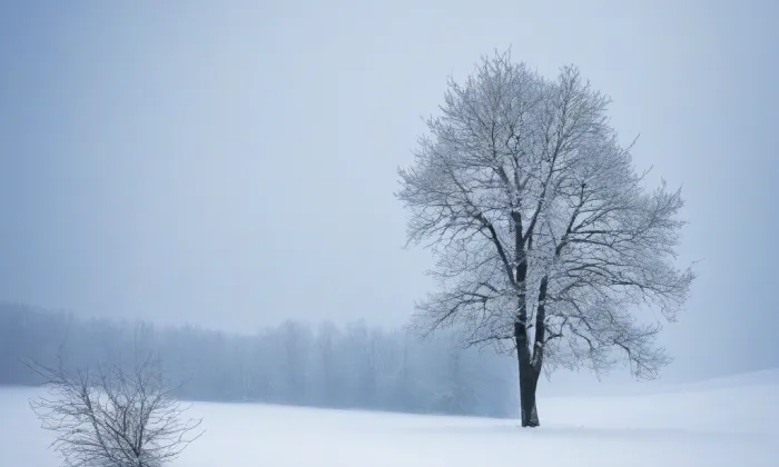 Hřbitovní kaple svatého Prokopa – winter